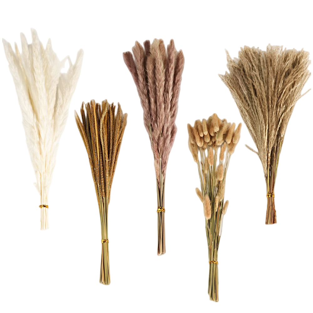 Eucalyptus Preserved - Autumn Vintage Mixed Dried Flower Bouquet,