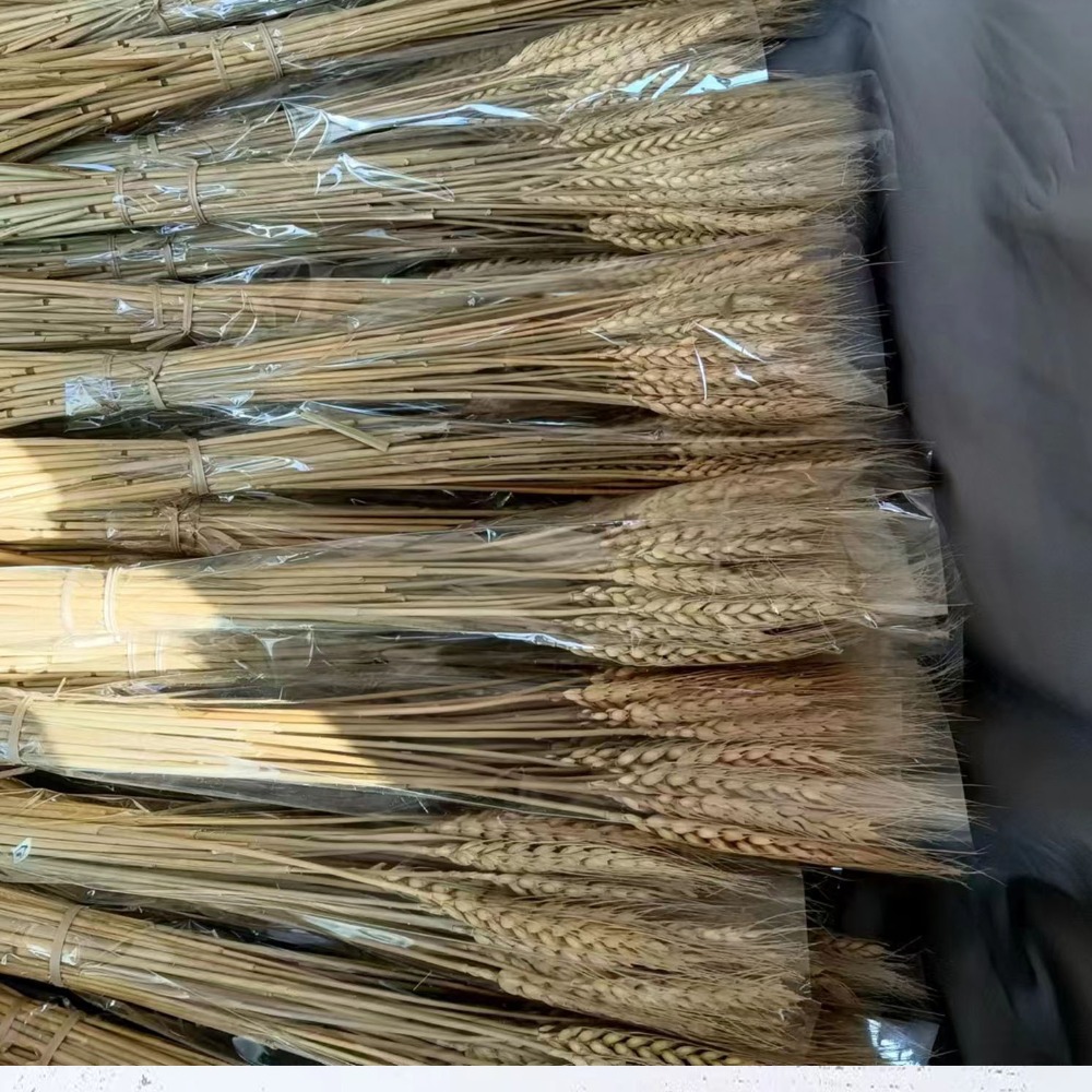 50pcs Artificial Flower Natura - Eucalyptus Preserved review and price