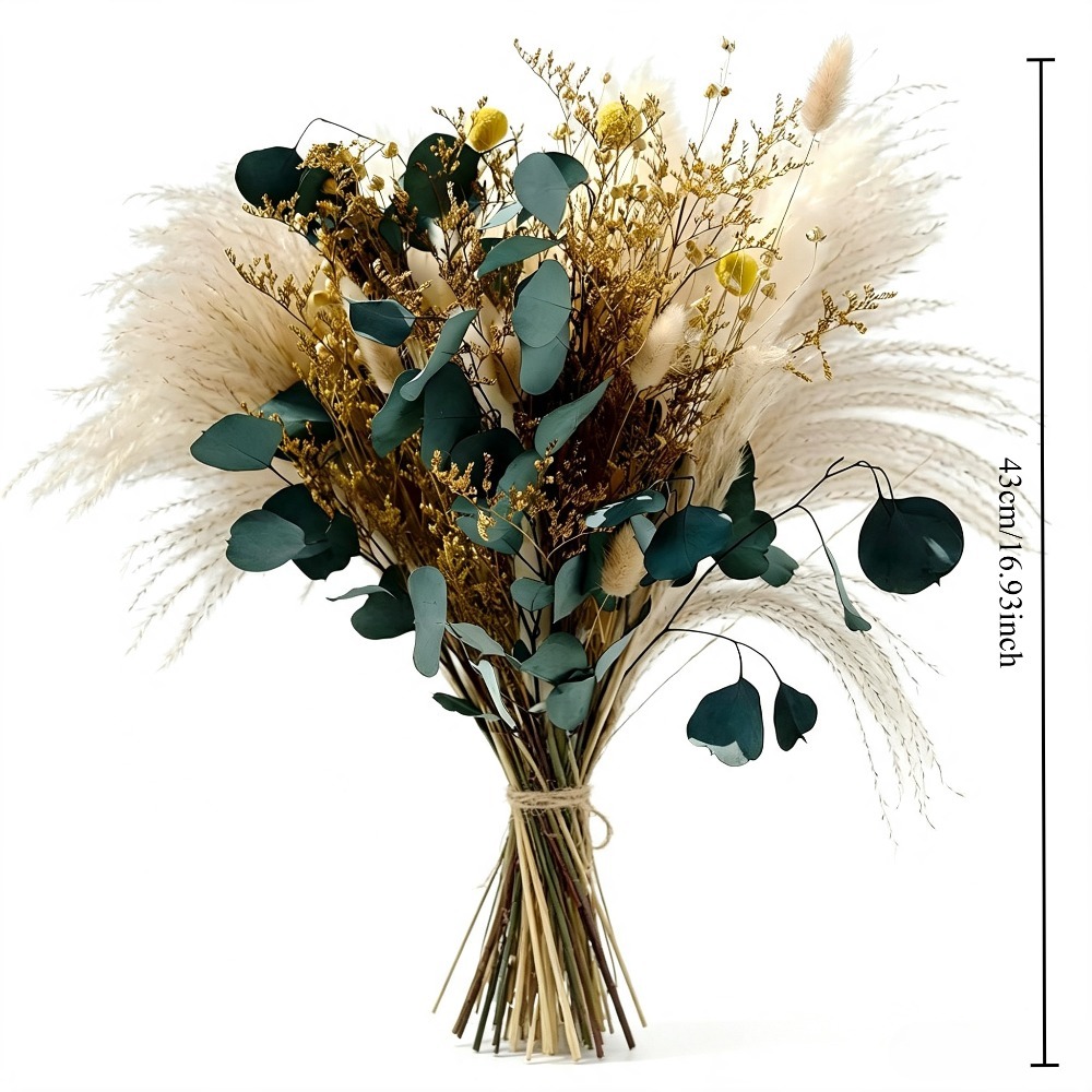 Natural Dried Pampas Grass Bou - Eucalyptus Preserved review and price