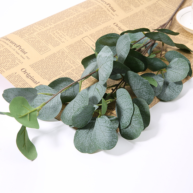 1pcs Artificial Eucalyptus App - Eucalyptus Preserved review and price