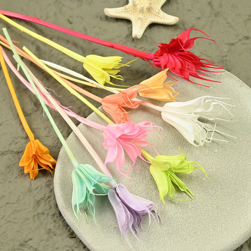 Dried  Flower Preserved Flower - Eucalyptus Preserved review and price